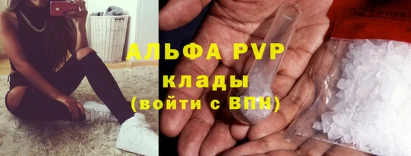 гидра Верея