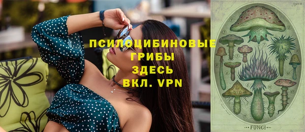 гидра Верея