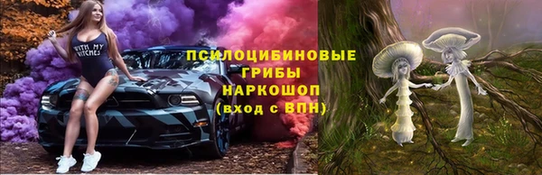 ALPHA PVP Бородино