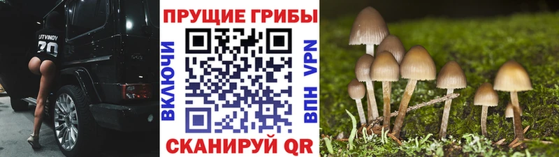 Галлюциногенные грибы прущие грибы  Батайск 